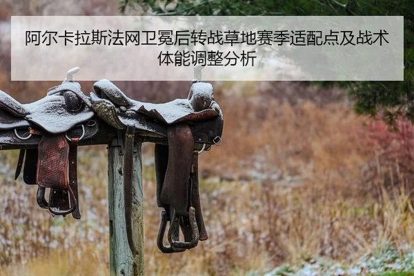 阿尔卡拉斯法网卫冕后转战草地赛季适配点及战术体能调整分析